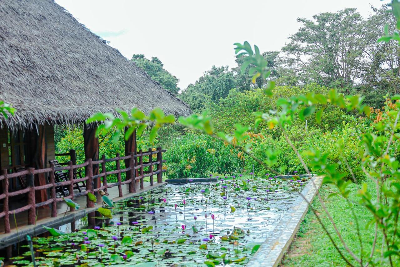 Sigiriya Water Cottage 외부 사진