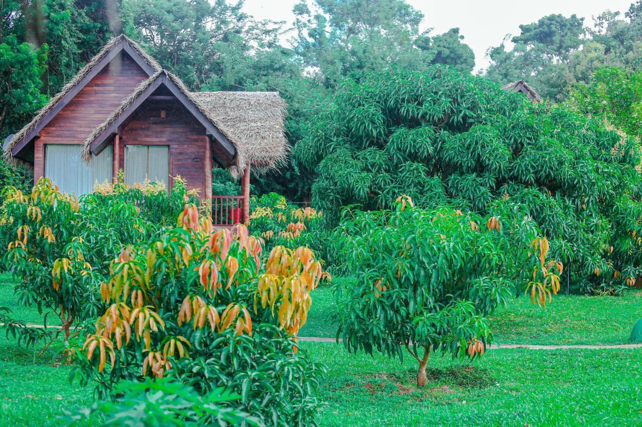 Sigiriya Water Cottage 외부 사진