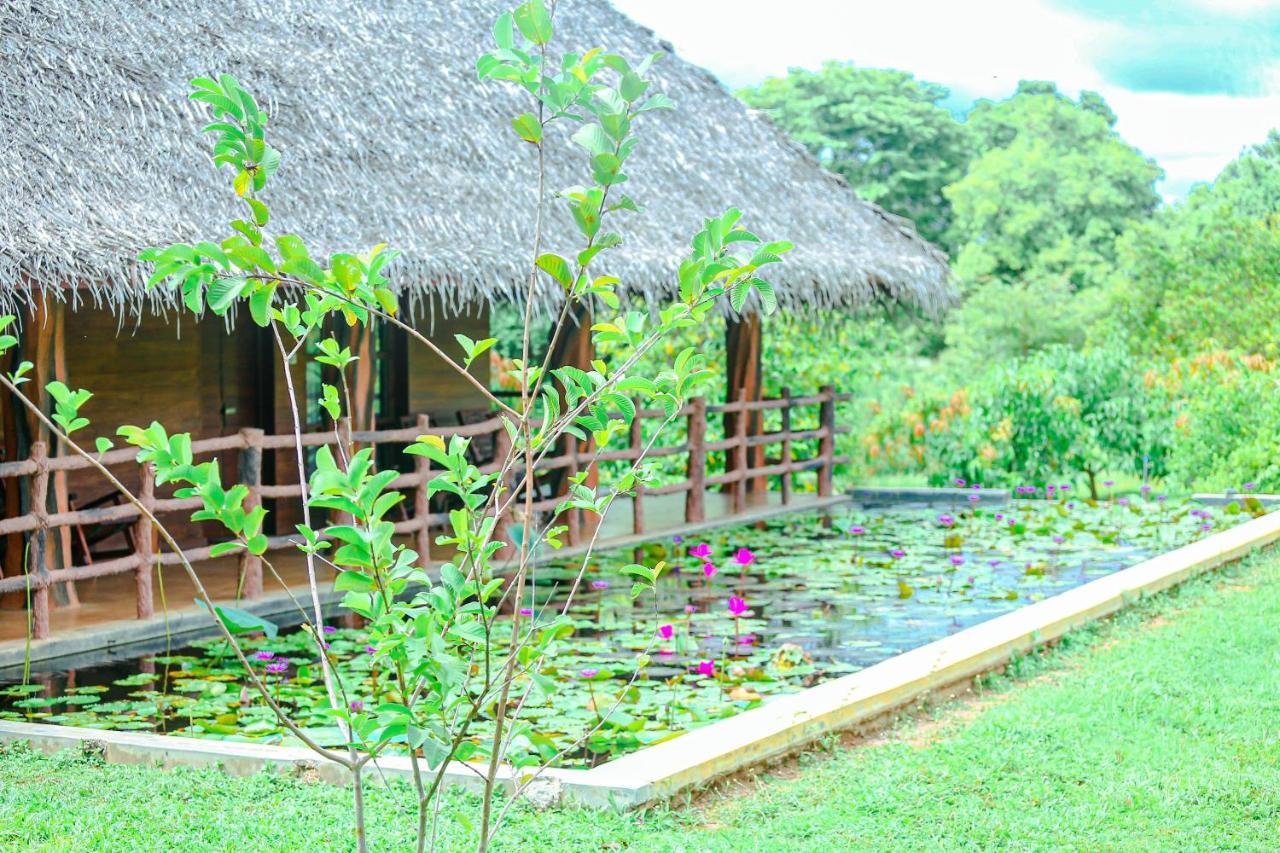 Sigiriya Water Cottage 외부 사진